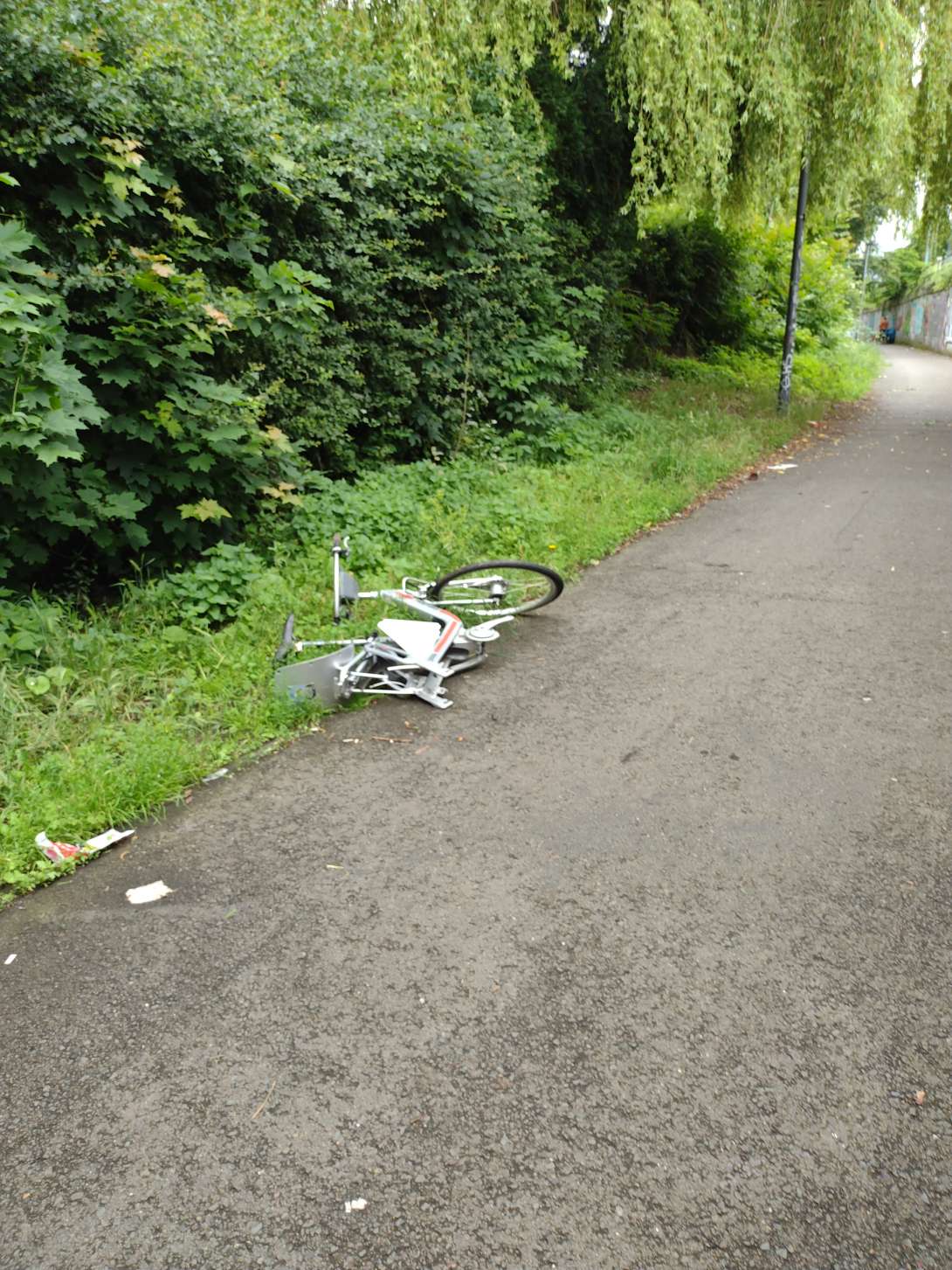 Bild zu gemeldetem Anliegen vom *2024-06-03 10:19:50