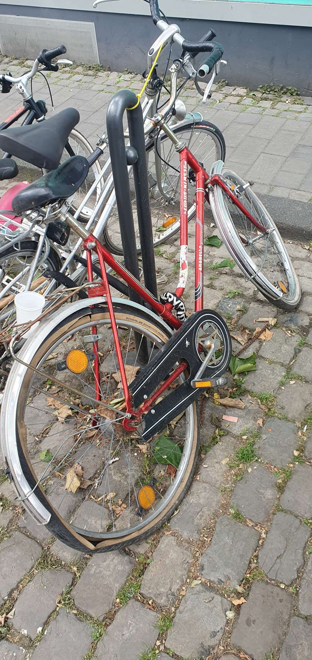 Bild zu gemeldetem Anliegen vom *2024-07-10 12:15:52