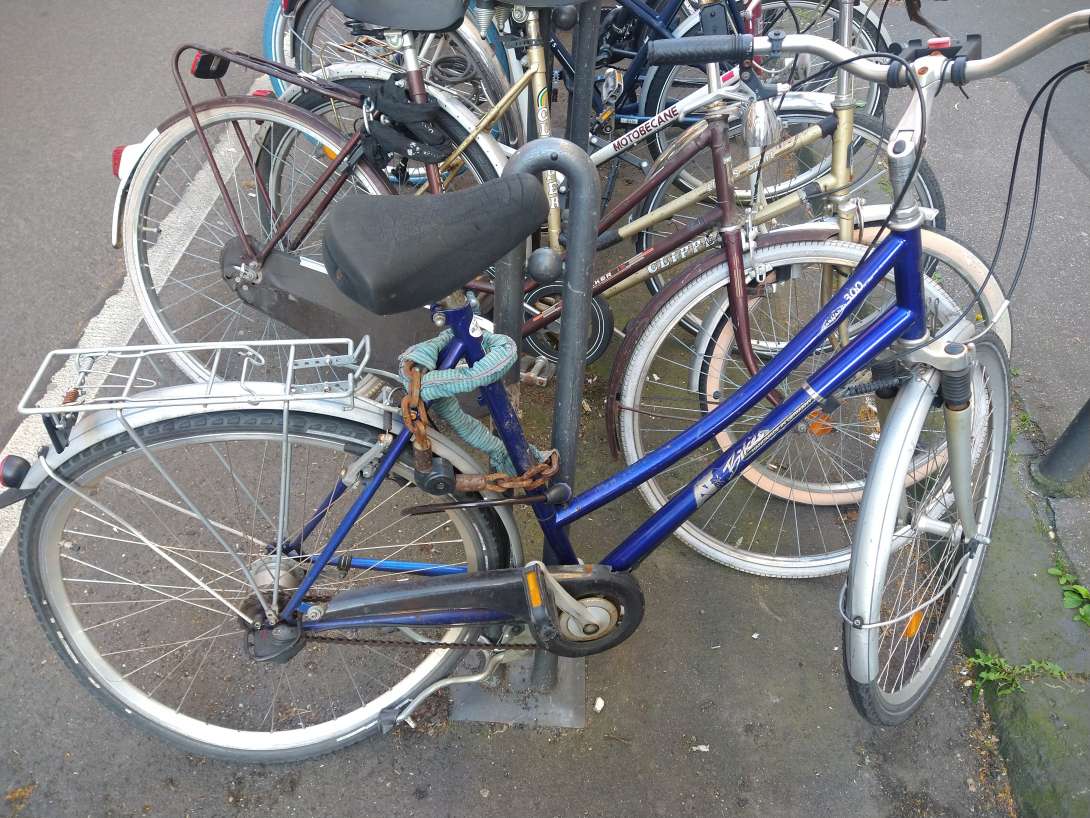 Bild zu gemeldetem Anliegen vom *2024-06-13 06:30:14