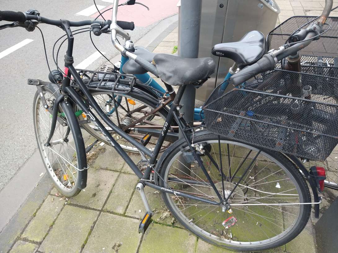 Bild zu gemeldetem Anliegen vom *2024-06-18 13:47:18