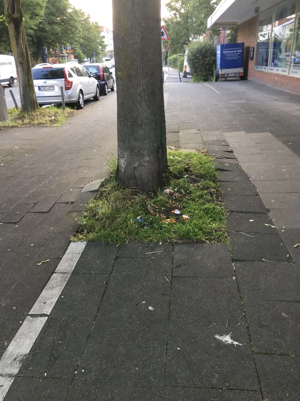 Bild zu gemeldetem Anliegen vom *2024-06-09 17:22:14