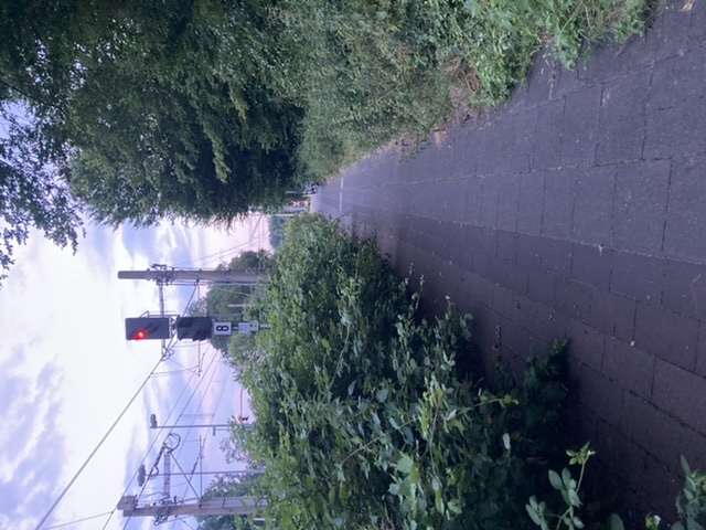 Bild zu gemeldetem Anliegen vom *2024-06-29 09:11:53