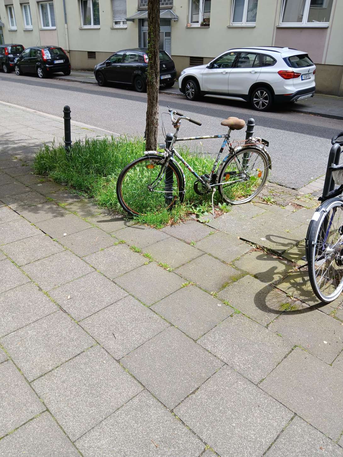 Bild zu gemeldetem Anliegen vom *2024-06-24 09:48:24