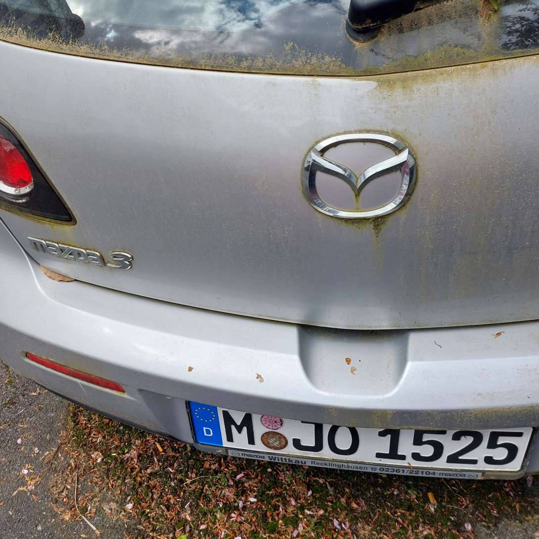 Bild zu gemeldetem Anliegen vom *2024-06-24 10:45:13