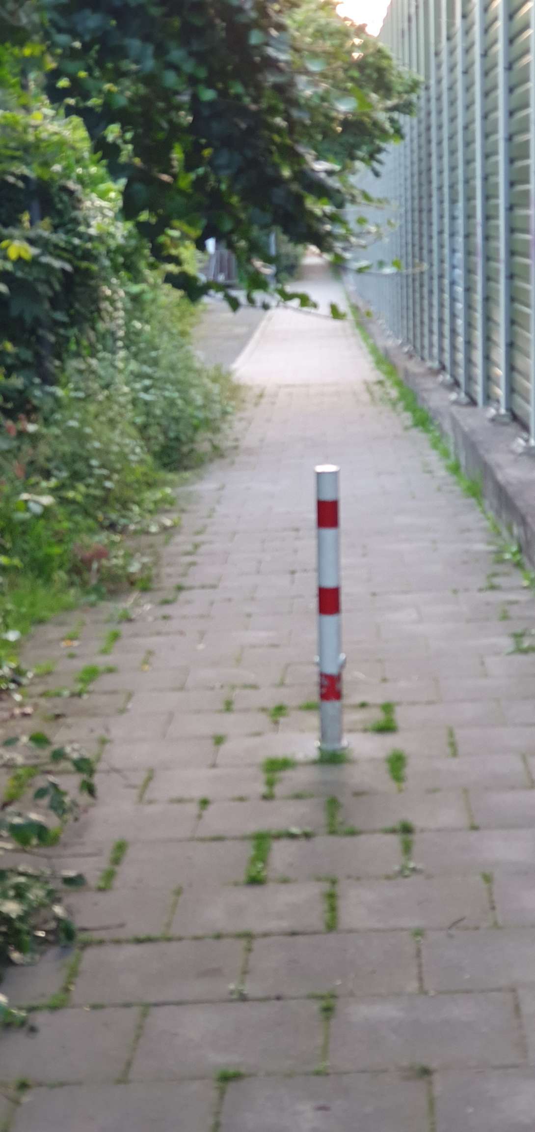 Bild zu gemeldetem Anliegen vom *2024-06-05 21:17:55