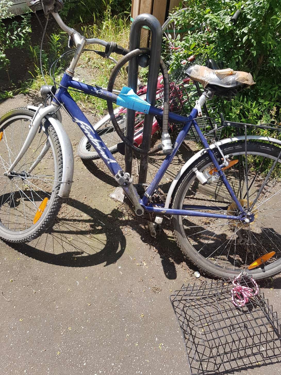 Bild zu gemeldetem Anliegen vom *2024-06-11 07:08:32