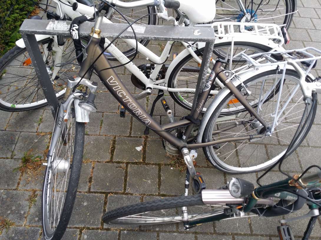 Bild zu gemeldetem Anliegen vom *2024-06-14 06:16:26