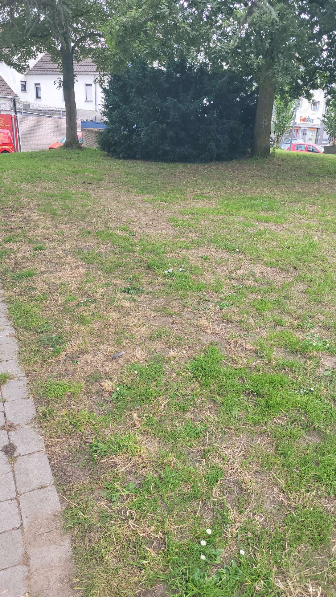 Bild zu gemeldetem Anliegen vom *2024-06-13 15:38:04