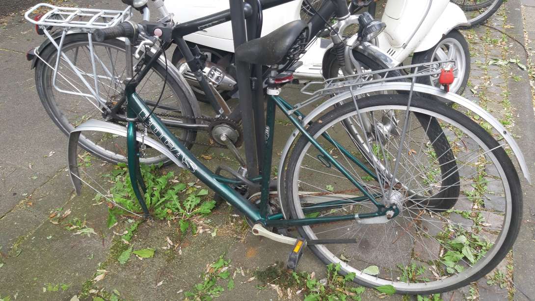 Bild zu gemeldetem Anliegen vom *2024-06-17 20:30:22