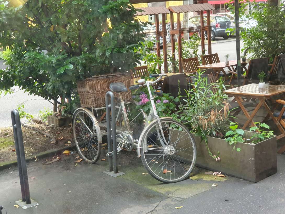 Bild zu gemeldetem Anliegen vom *2024-06-18 07:46:19