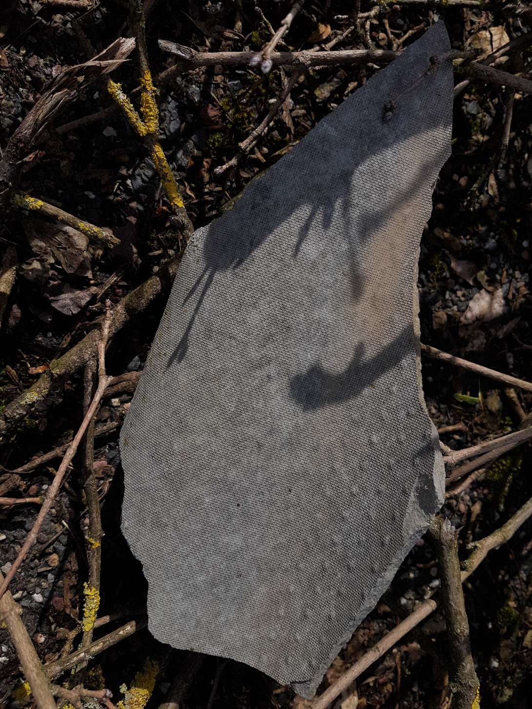 Bild zu gemeldetem Anliegen vom *2024-06-18 12:32:01