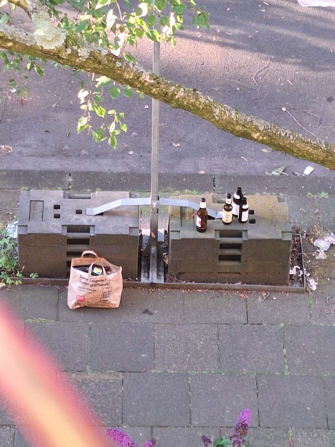Bild zu gemeldetem Anliegen vom *2024-06-19 20:12:57