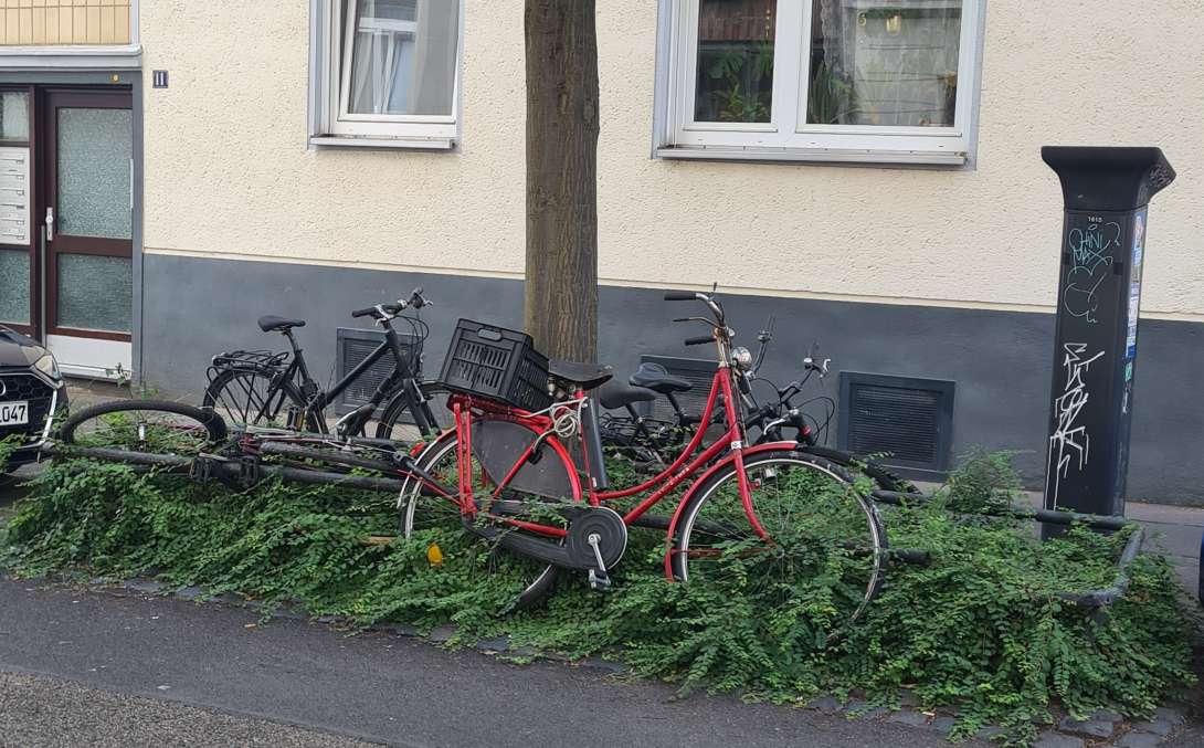 Bild zu gemeldetem Anliegen vom *2024-06-24 17:29:31