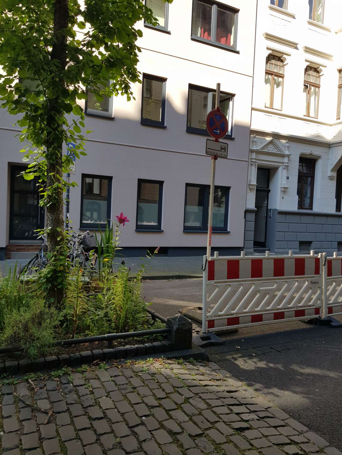 Bild zu gemeldetem Anliegen vom *2024-06-28 07:22:33