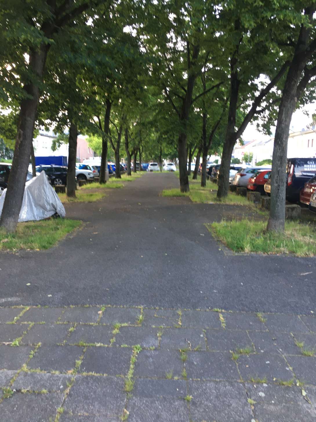 Bild zu gemeldetem Anliegen vom *2024-06-10 09:16:17