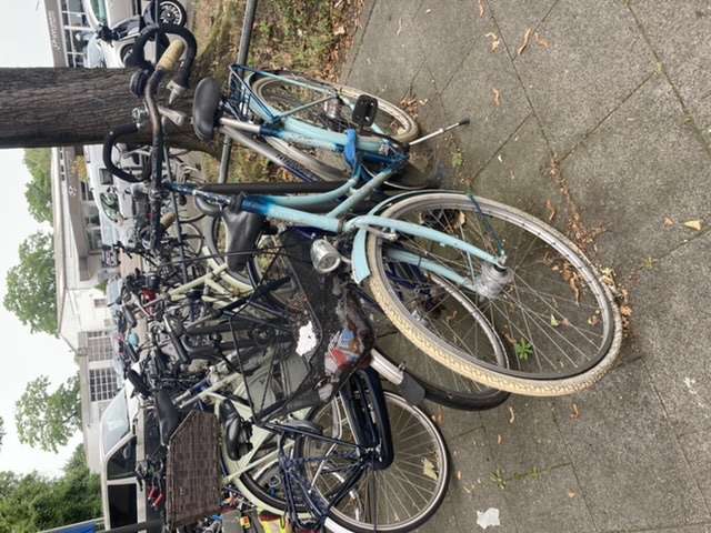 Bild zu gemeldetem Anliegen vom *2024-08-11 15:27:01