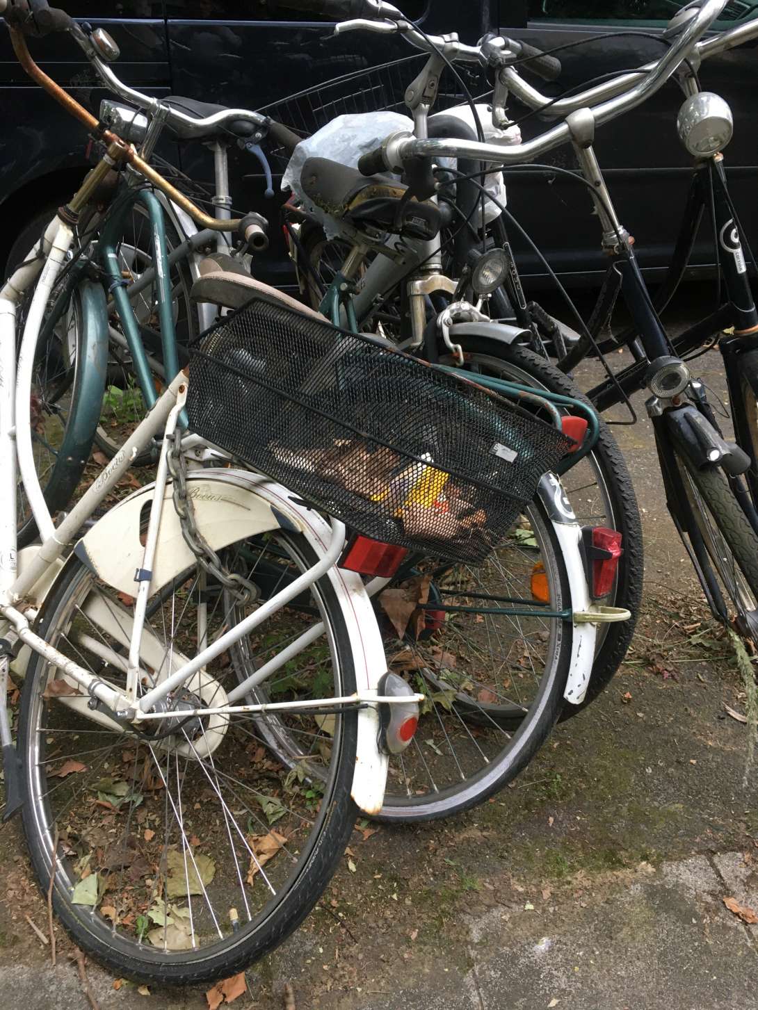 Bild zu gemeldetem Anliegen vom *2024-06-14 06:16:58