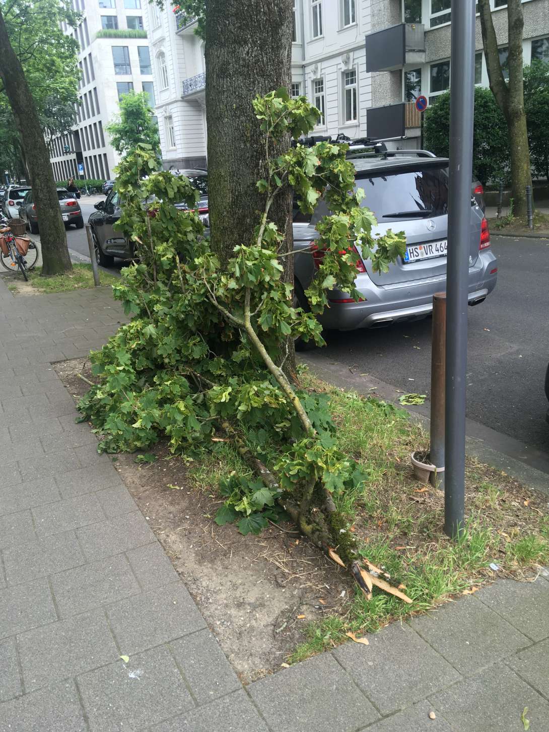 Bild zu gemeldetem Anliegen vom *2024-06-15 12:52:51