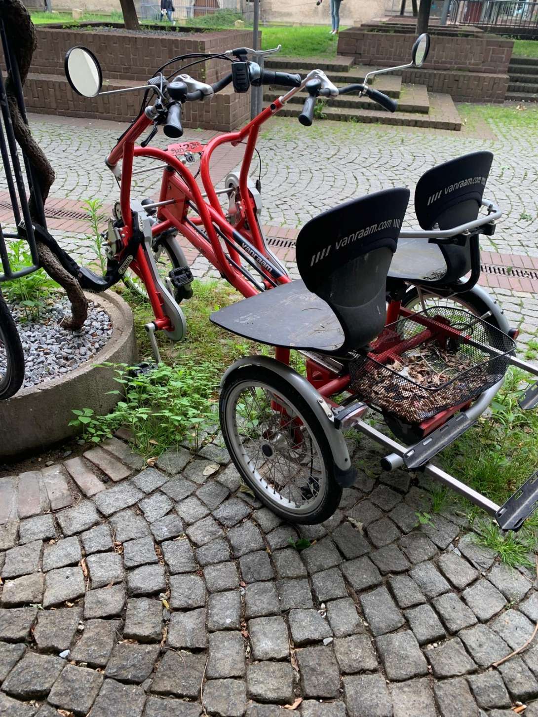 Bild zu gemeldetem Anliegen vom *2024-06-25 13:21:57