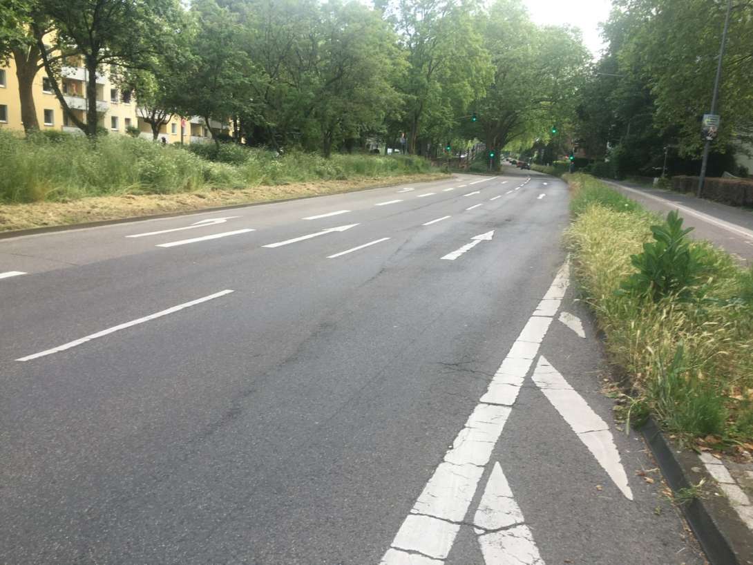Bild zu gemeldetem Anliegen vom *2024-06-03 16:12:50