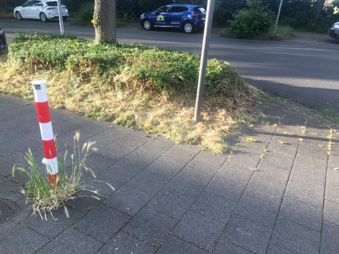 Bild zu gemeldetem Anliegen vom *2024-06-03 16:23:15