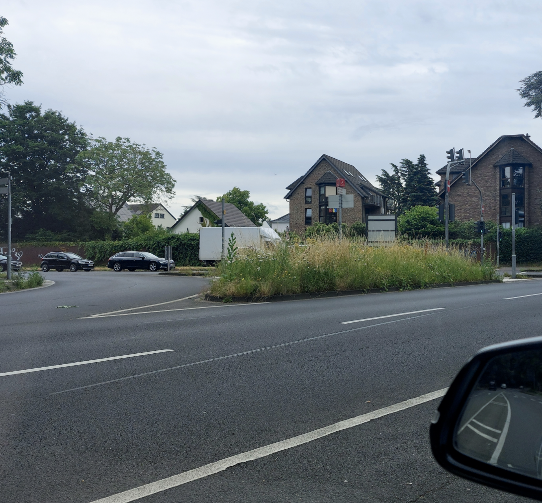 Bild zu gemeldetem Anliegen vom *2024-06-21 15:22:49