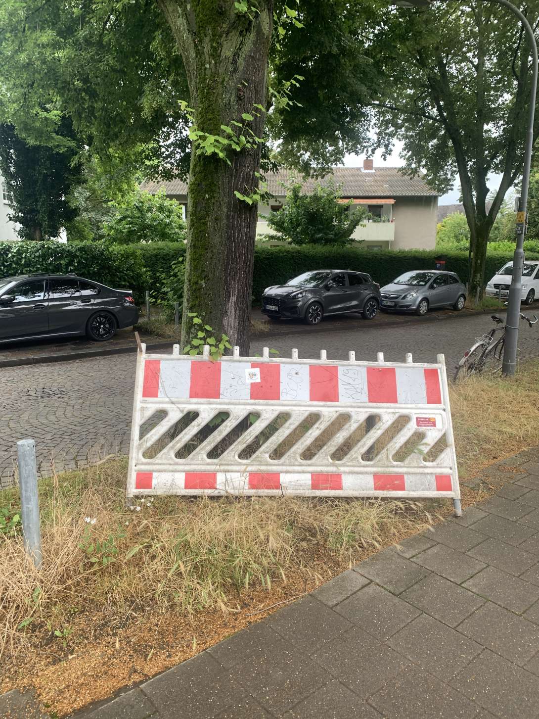 Bild zu gemeldetem Anliegen vom *2024-06-19 13:32:30