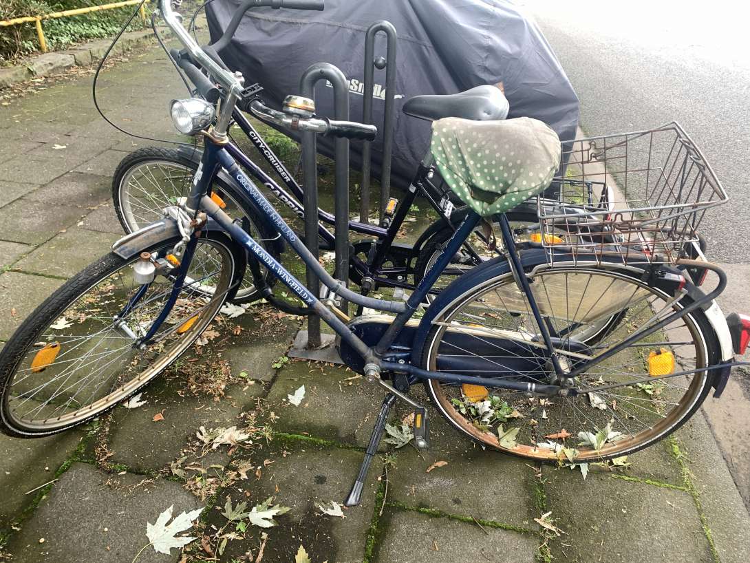 Bild zu gemeldetem Anliegen vom *2024-06-21 09:27:18