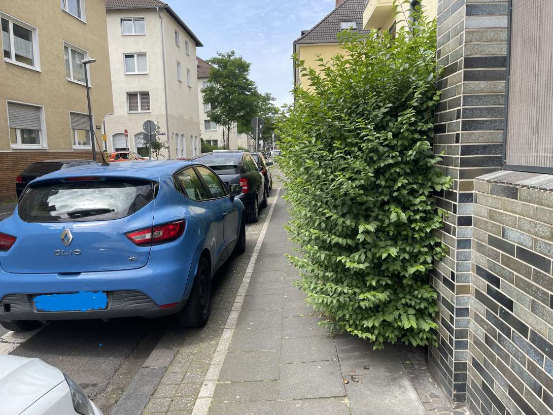 Bild zu gemeldetem Anliegen vom *2024-06-29 17:28:14