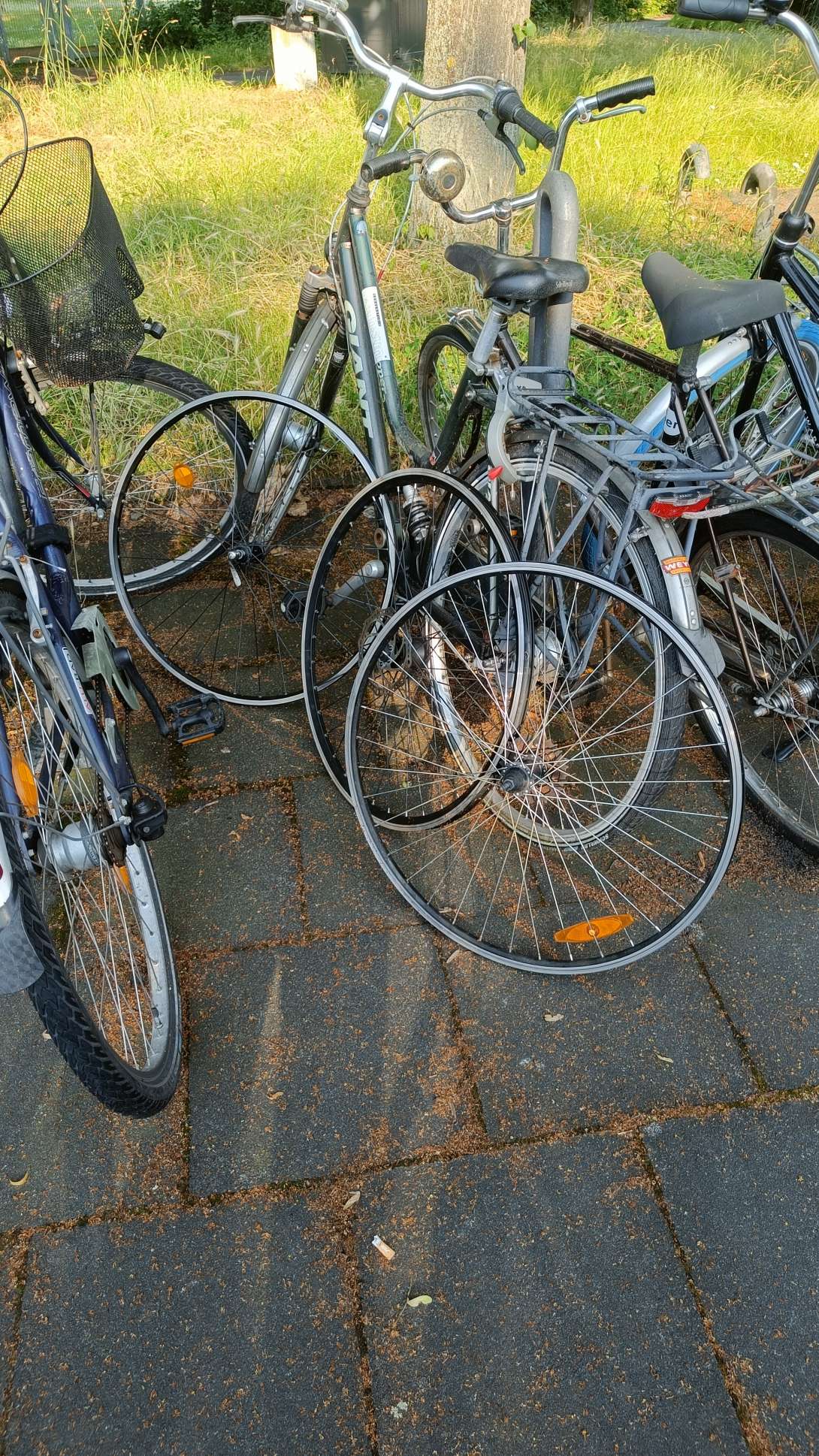 Bild zu gemeldetem Anliegen vom *2024-06-20 17:15:23