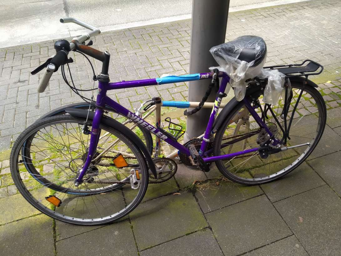 Bild zu gemeldetem Anliegen vom *2024-06-24 10:51:28