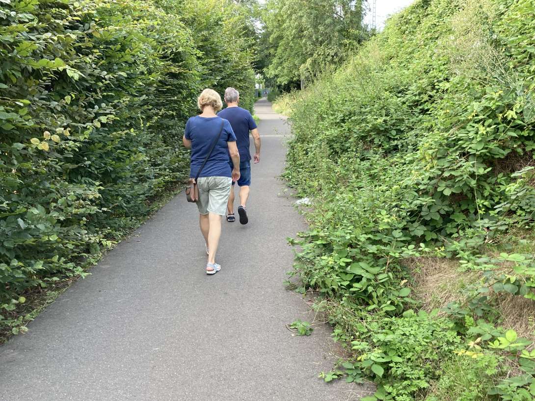 Bild zu gemeldetem Anliegen vom *2024-06-17 21:49:44