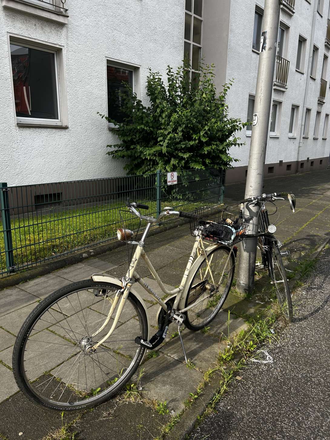 Bild zu gemeldetem Anliegen vom *2024-06-21 17:02:12