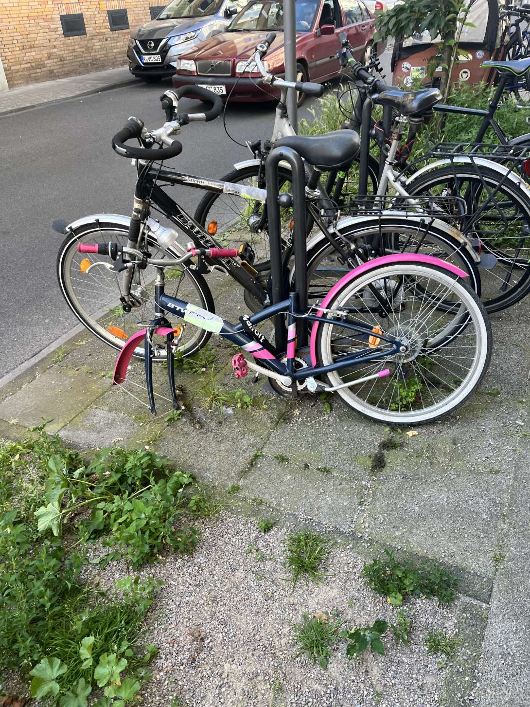 Bild zu gemeldetem Anliegen vom *2024-06-27 12:18:54