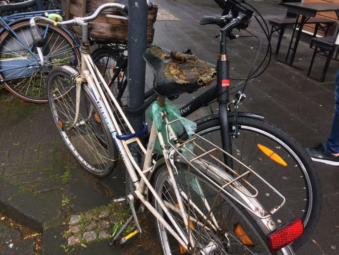 Bild zu gemeldetem Anliegen vom *2024-06-17 20:39:47