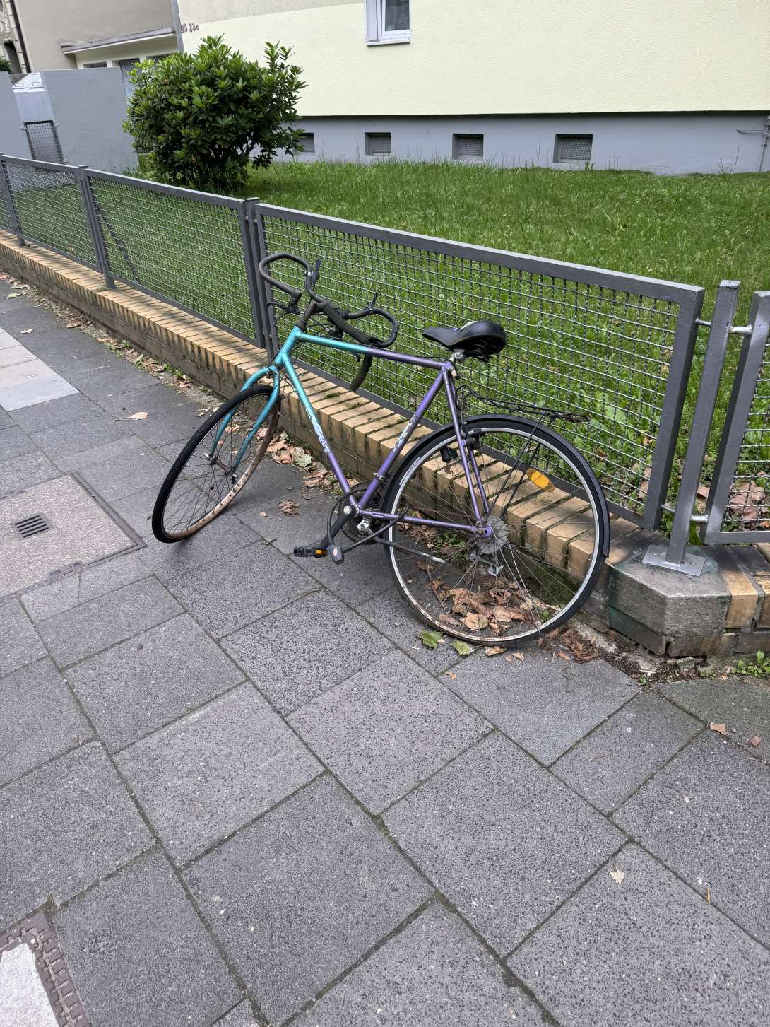 Bild zu gemeldetem Anliegen vom *2024-06-05 12:26:58