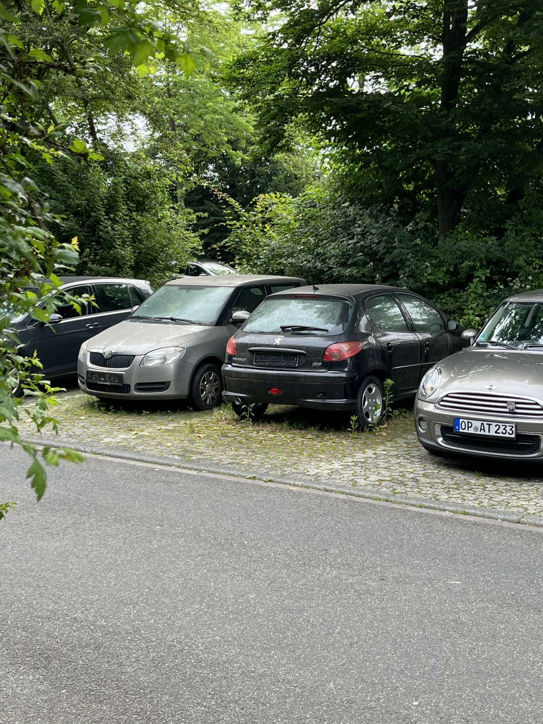 Bild zu gemeldetem Anliegen vom *2024-06-04 11:34:28