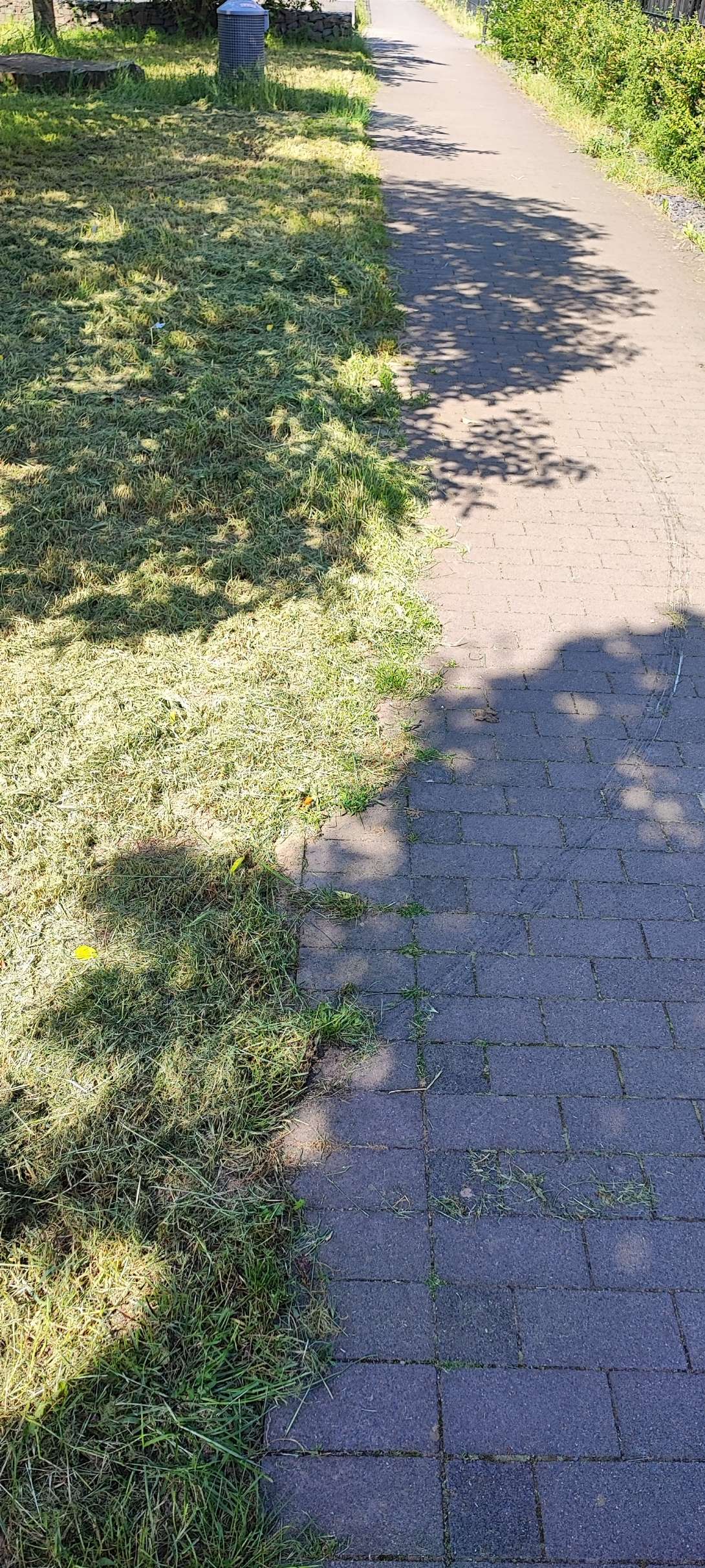 Bild zu gemeldetem Anliegen vom *2024-06-07 07:36:42