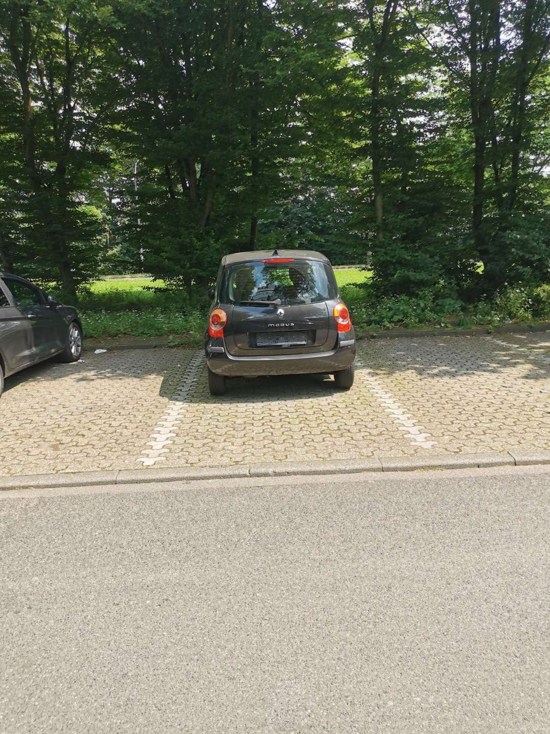 Bild zu gemeldetem Anliegen vom *2024-06-28 07:25:09
