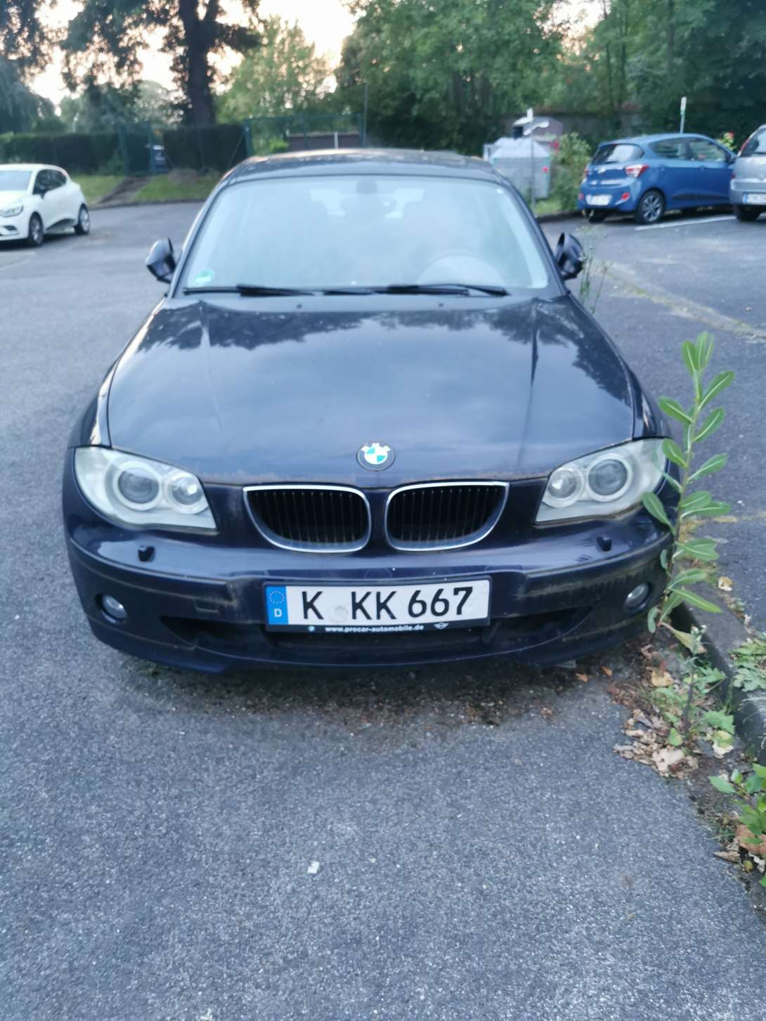 Bild zu gemeldetem Anliegen vom *2024-06-28 11:07:28