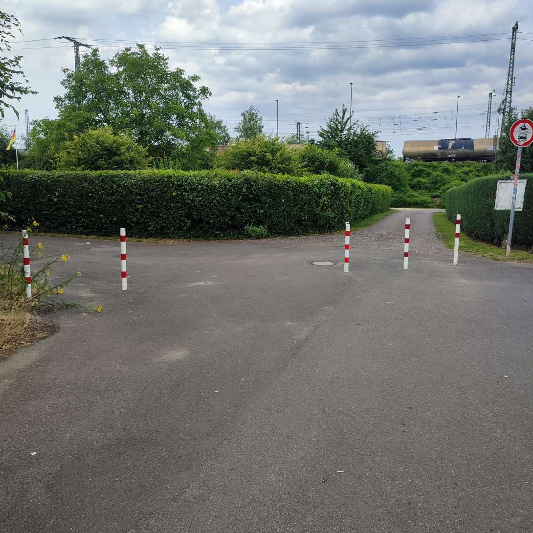 Bild zu gemeldetem Anliegen vom *2024-06-29 18:12:48