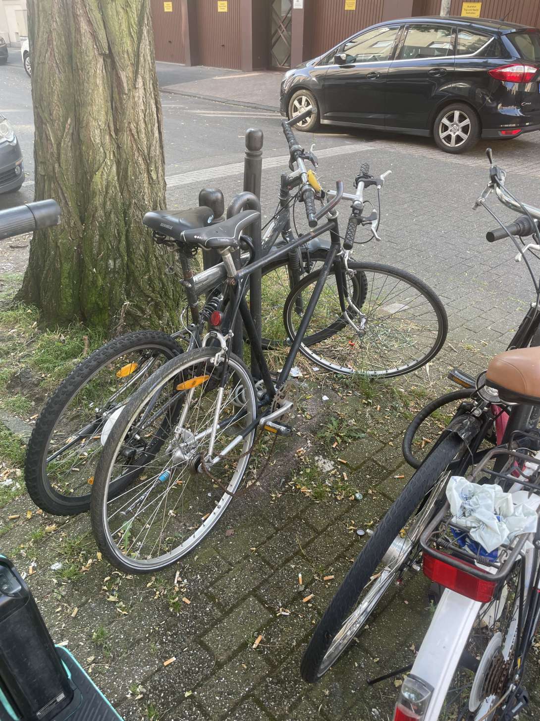 Bild zu gemeldetem Anliegen vom *2024-06-10 09:45:32