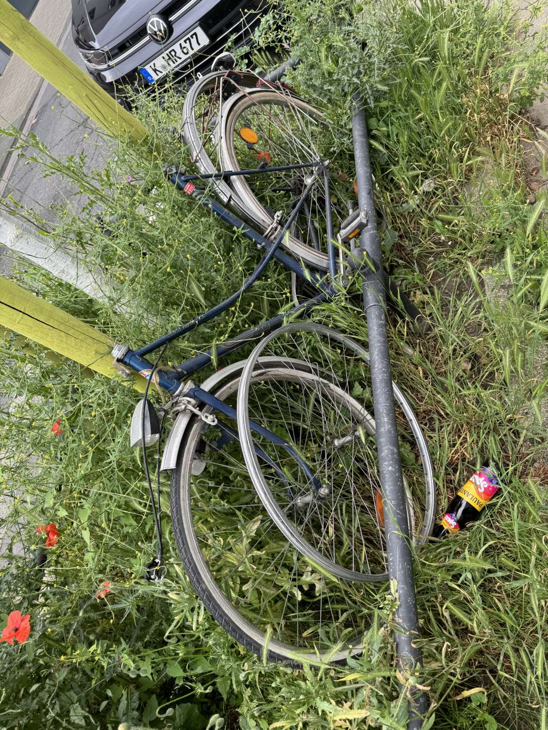 Bild zu gemeldetem Anliegen vom *2024-06-03 06:53:41