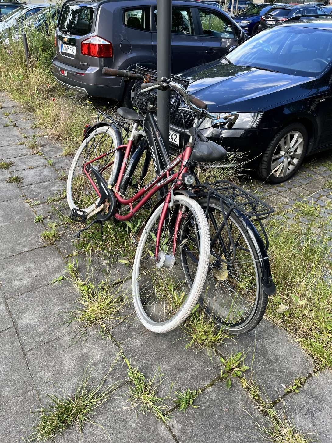 Bild zu gemeldetem Anliegen vom *2024-06-17 11:36:23