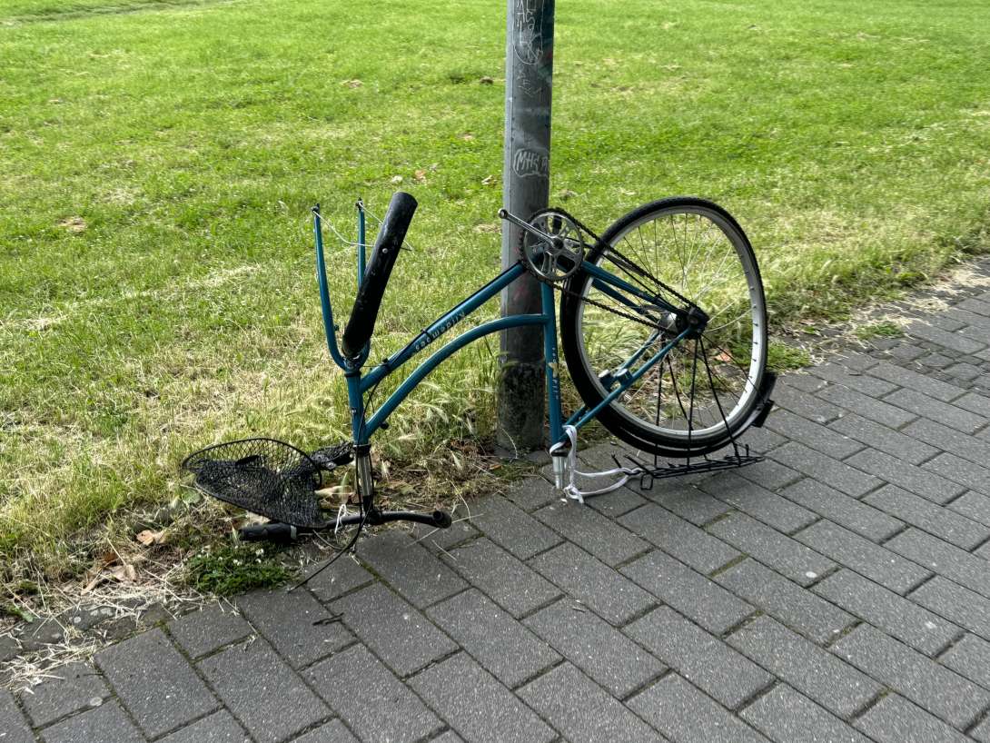 Bild zu gemeldetem Anliegen vom *2024-06-18 09:28:02