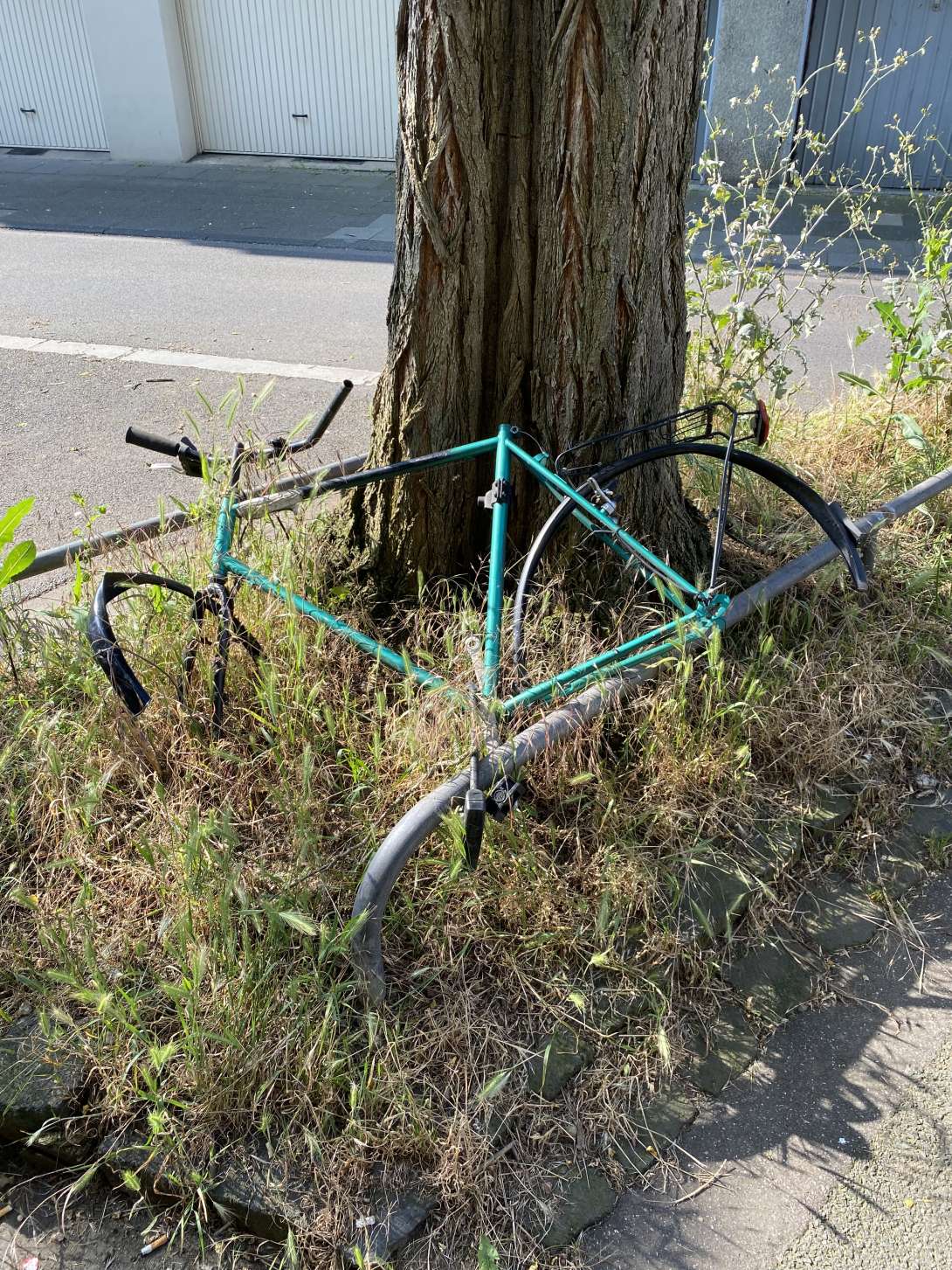 Bild zu gemeldetem Anliegen vom *2024-06-10 07:50:39