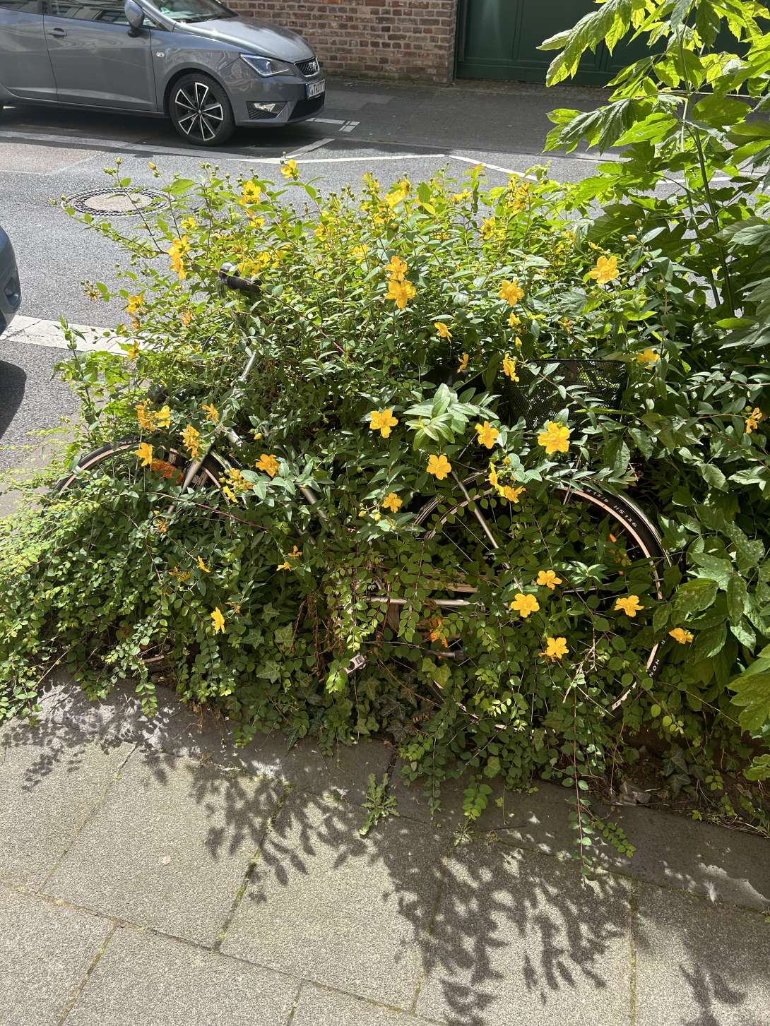 Bild zu gemeldetem Anliegen vom *2024-06-17 20:31:27