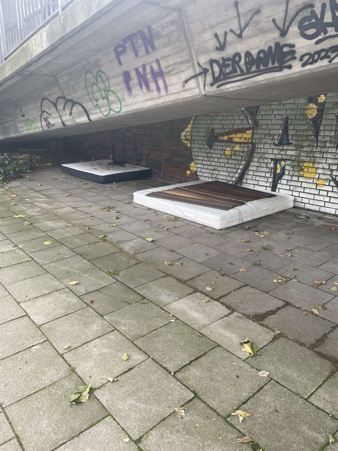 Bild zu gemeldetem Anliegen vom *2024-06-03 12:02:27