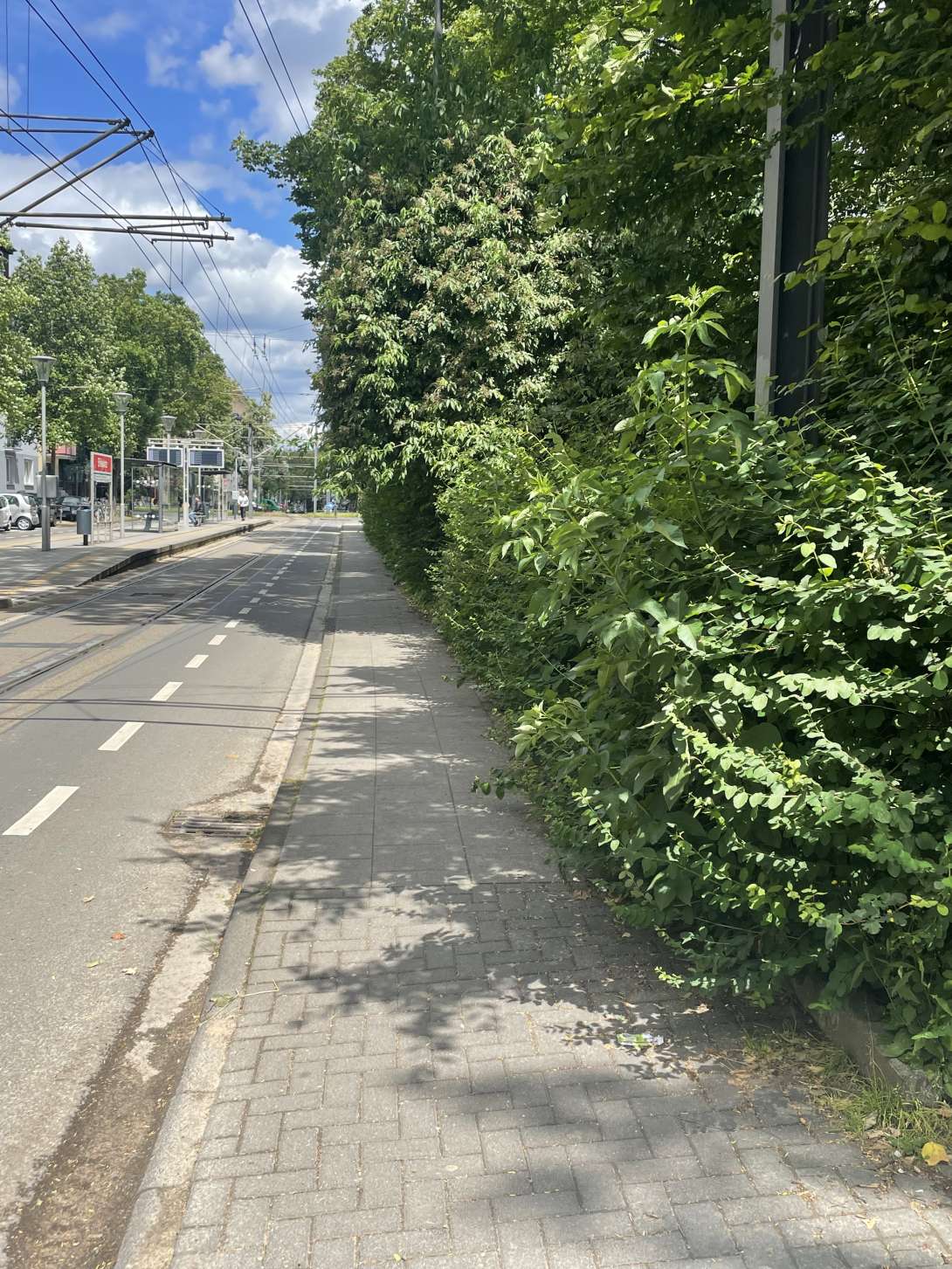 Bild zu gemeldetem Anliegen vom *2024-06-17 14:45:23