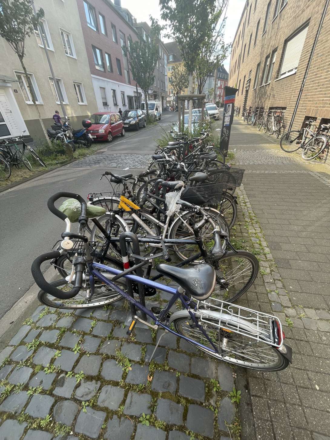 Bild zu gemeldetem Anliegen vom *2024-06-25 10:36:47